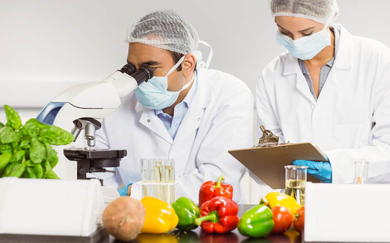 ISO 22000 Lead Auditor